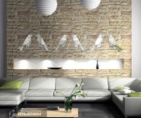 Зеркало Попугай